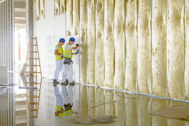 Best Eco-Friendly or Green Insulation Solutions  in Cape Coral, FL